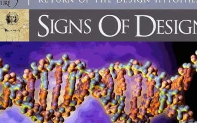 Dr. Brian Miller on The Design Hypothesis